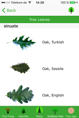 Simply determine leaves. The leaves, which look similar, are directly next to each other.